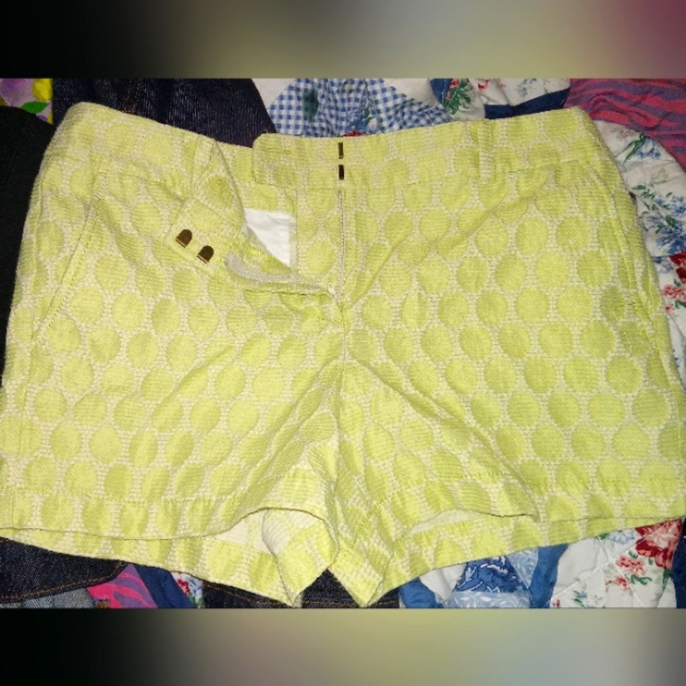 Loft Shorts Womens Size 8 Green White Flat Front Chino Pockets High Rise